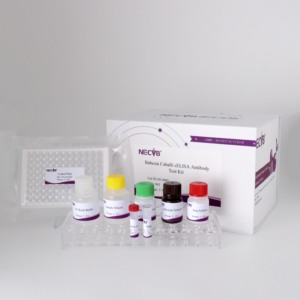 Kit de prueba de anticuerpos cELISA Babesia original para diagnóstico veterinario (96T/Kit) con alta sensibilidad - Product Image 5