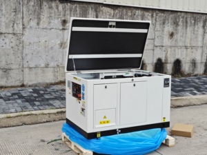 Gas <b>Generator</b> 20KW 30KW High Efficiency Silent <b>Generators</b> Set Industrial Power Equipment CNG/LNG/LPG Supported GAG Gas <b>Generator</b> - Product Image 3