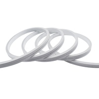 Ruban néon flexible RGB personnalisé SMD5050, néon LED fin en silicone, lumières LED néon flexibles étanches IP67 pour la décoration de mariage et de fête