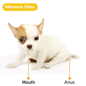 Yongyue Veterinária Rápido Rectal Termômetro Animal Pet Termômetro <span class=keywords><strong>Digital</strong></span> Eletrônico para Cães Cavalo Gatos Porcos Ovelhas - Product Image 6
