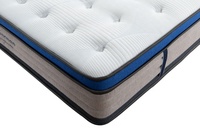 Matelas enroulé de haute qualité en gros OEM ODM personnalisé reine roi eurolux ressort hélicoïdal de poche sous vide fabricant de matelas d'emballage