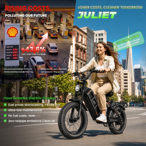 Vélo électrique de ville Eahora Juliet, moteur 48V 60AH, batterie au lithium amovible, pneus 20*4, autonomie de 29-34 miles, 7 vitesses - Product Image 5