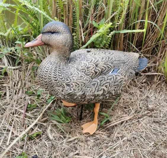 Extremely Realistic Duck Decoys - Perfect for Waterfowl Hunting