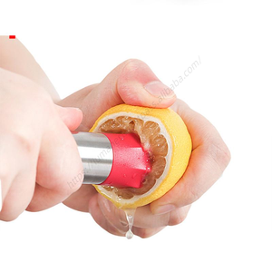 Herramienta de Cocina S123 al por Mayor, Cortador de Frutas y Verduras, Desgranador, Removedor de Núcleos, Perforador de Acero Inoxidable 304 - Product Image 1