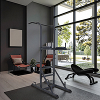 Vente chaude MAIRUISHI JH-D06 fer matériel 231.5kg Station d'immersion barre de traction usage Commercial Fitness personnel Gym Rack Station