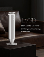Diffuseur d'aromathérapie portable en aluminium sans eau, diffuseur d'air silencieux pour la maison et le bureau