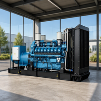 Groupe électrogène diesel Weichai 500-1000 kW, type ouvert, avec alternateur sans balais à régulateur de tension automatique de haute précision