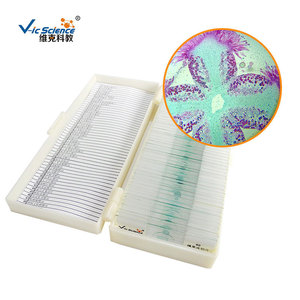 Secciones transversales de estigmas de algodón suministradas directamente, muestras de plantas y animales, preparados de microscopio para enseñanza. - Product Image 3