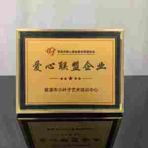Plaque de certification d'entreprise MH-PB0021 Enseigne personnalisée autorisée à féliciter les employés Certificat <span class=keywords><strong>vierge</strong></span> en gros - Product Image 3