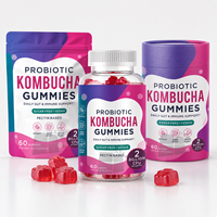 Gummies de Kombucha Probiotiques Marque Blanche 2 Milliards de UFC Sans Sucre Végétaliennes à la Pectine 60 Unités Bien-être Intestinal Fabricant de Suppléments OEM