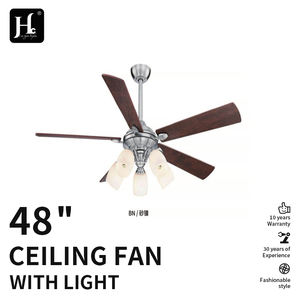 Ventilateur moderne à moteur CC avec lumière et télécommande par un fabricant chinois - Product Image 2