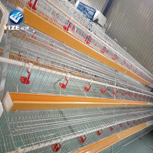 Capannone per Pollame per Allevamento di Polli da Carne/Progettazione Gabbie per Galli in Vendita/Prezzo Gabbie per Polli Tipo A per Fattoria in Uganda - Product Image 2