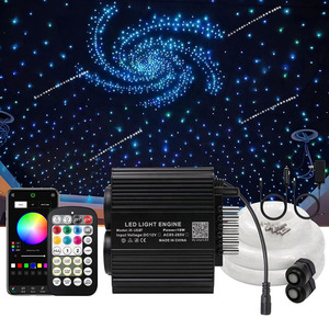 Kit de plafonnier LED 18W 0,75 mm 12V dimmable à double trou, effet étoile filante 2-en-1, IP65, contrôle par application à distance, en alliage d'aluminium - Product Image 1