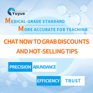 Modelo <span class=keywords><strong>de</strong></span> sección transversal <span class=keywords><strong>de</strong></span> la quinta vértebra cervical humana con médula espinal - Herramienta <span class=keywords><strong>de</strong></span> enseñanza <span class=keywords><strong>de</strong></span> anatomía para Neurología y Ortopedia - Product Image 6