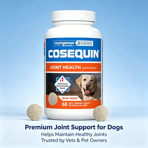 Livraison gratuite Nutramax <span class=keywords><strong>Cosequin</strong></span> pour chiens, complément alimentaire pour la santé des articulations, contient de la glucosamine, comprimés à mâcher, 60 unités, fabriqué en Chine - Product Image 1