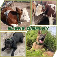 Kalung Sapi yang Dapat Disesuaikan dengan Lonceng, Tali Leher Kanvas Tebal 4 Lapis untuk Sapi, Domba, Kambing, Ternak, Peternakan, Aksesoris Hewan