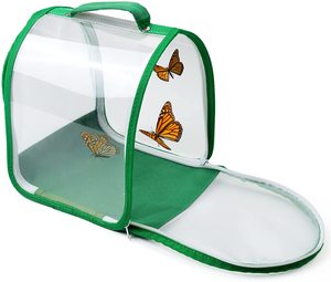 Arched green portable 360 degree breathable wire mesh net caterpillar foldable reptile terrarium habitat insect butterfly cage