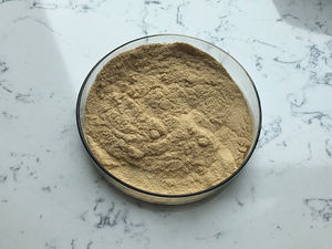 ธรรมชาติสารสกัดจากโรสแมรี่ Carnosic กรดผง - Product Image 4