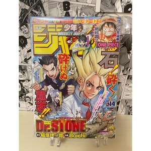 Shonen Jump hebdomadaire n° 2017 14 Premiers Chapitres Dr. Stone Livre Premium Design Magazine avec Pochette de Protection WR 1000g - Product Image 3