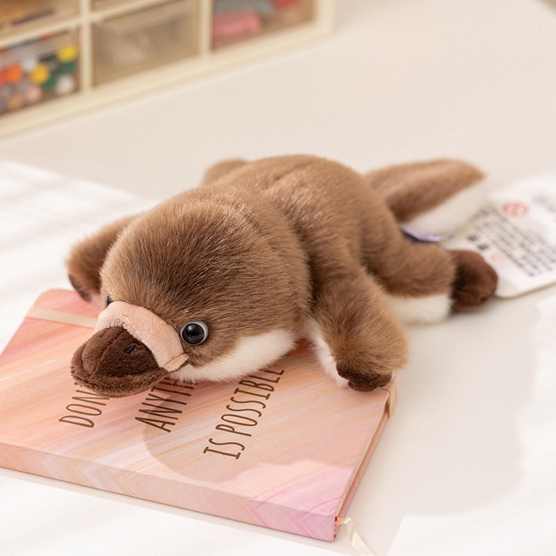 สัตว์จิ้งจกน้ำ