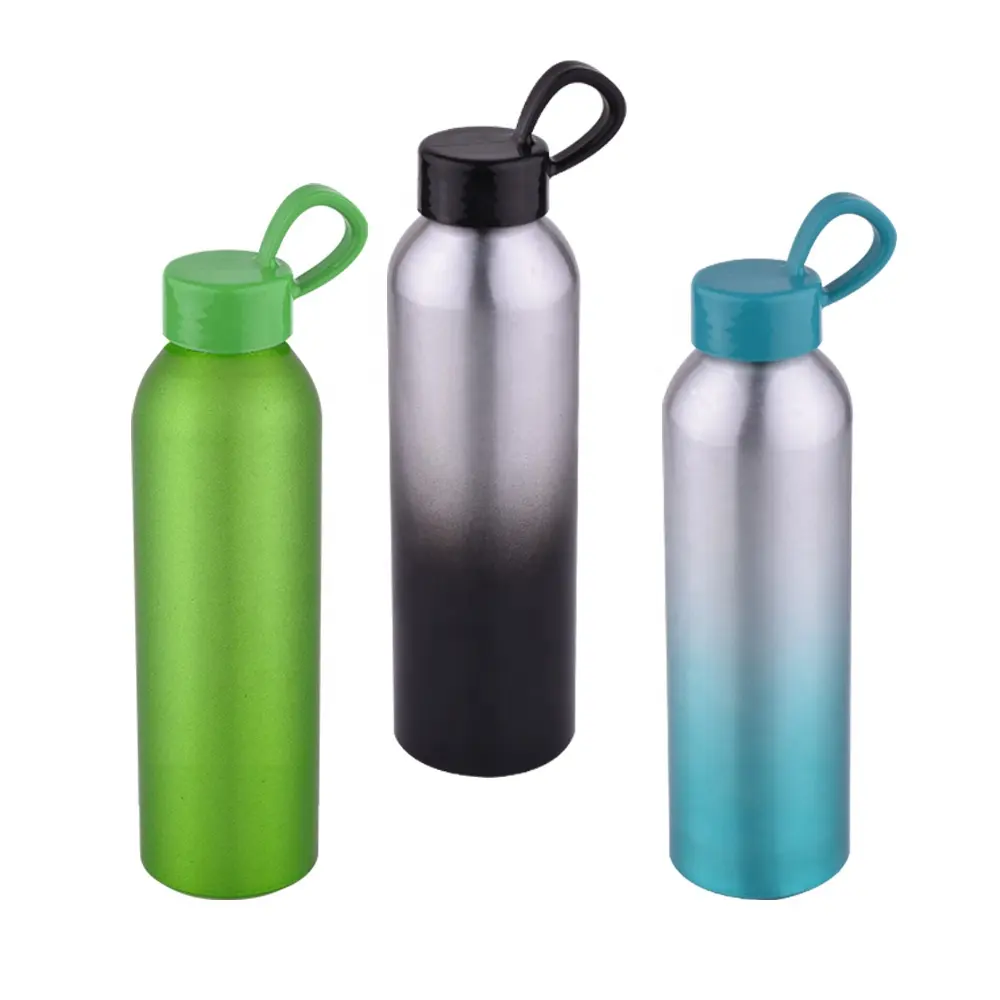 Wholesale BPA free 21 oz Aluminum Metal Sport Water Bottle Durable Custom Eco friendly Drink Bottle with Handles Hook
