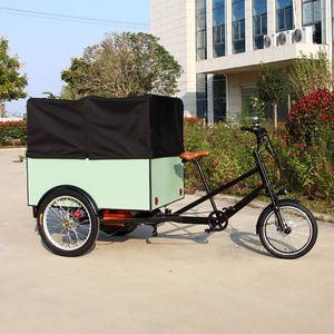 Bicicleta Eléctrica de 3 Ruedas con Llantas Gruesas, Bicicleta de Reparto Tipo Camión, Triciclo Eléctrico de Carga con Caja Trasera, Velomóvil - Product Image 1