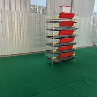 Cages de batterie de caille les plus vendues à vendre