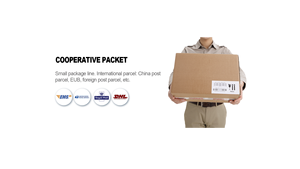 Pengiriman udara pintu ke pintu aman dan cepat layanan DDP dari Tiongkok ke Arab Saudi Dubai UEA <span class=keywords><strong>Qatar</strong></span> Saudi Arabia - Product Image 5