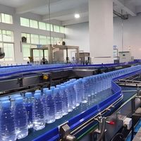 Machine de lavage, remplissage et bouchage de bouteilles d'eau purifiée entièrement automatique 3 en 1 pour petites bouteilles
