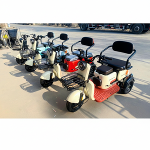Tricycle électrique à trois roues neuf de Chine 2023, vitesse unique, 48V 600W, cadre en acier à haute teneur en carbone, vélo cargo pour adultes - Product Image 1