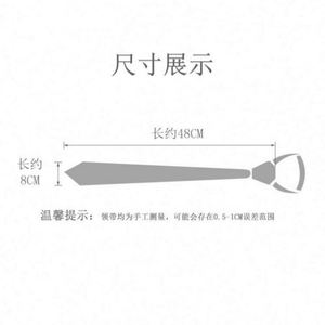 Manufacturers in Stock Wholesale Customized Color Men's Business Neck <b>Ties</b> with Custom Logo Custom Length OEM Accepted Polyester - Product Image 6