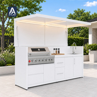 Barbecue portable en acier inoxydable 304 pour extérieur, station de cuisson mobile pliable avec rangement pour patio, jardin, camping
