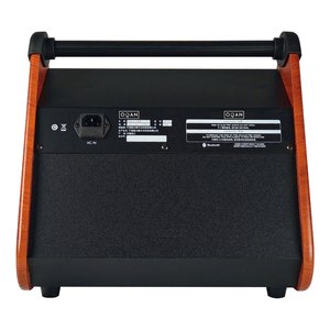 Amplificador de Batería SK 50 Black y Wood 65W - Product Image 2