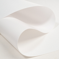 Toile en polyester brillante 260GSM compatible avec Epson, Canon, HP pour impression jet d'encre, toile d'art décorative