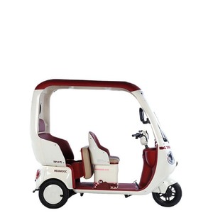 <span class=keywords><strong>Prix</strong></span> d'usine, vente en gros : Tricycle électrique cargo à 3 roues avec pneus larges pour adulte, 48V 500W, modèle ouvert - Product Image 6