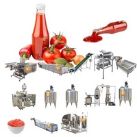 Nieuwe automatische tomatenpureemachine, ketchup productielijn met voedselsterilisator, tomatenverwerkingsinstallatie