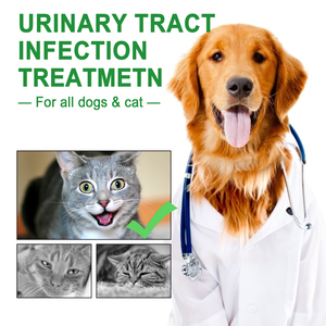 Natürliche Haustier Hund Harnwegs infektion Blasen unterstützung Cranberry Liquid Harinary Tract Drops Supplement für Hunde - Product Image 5