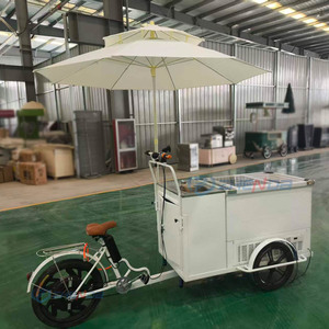 Mini-chariot à glaces et desserts, grande capacité de rangement, auvent résistant aux intempéries, pour la vente mobile en parc, sur la plage, ou comme remorque alimentaire. - Product Image 1