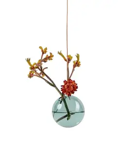 Großhandel mund geblasen farbige Boro silikat Blase hängen Glas Blume Globe Bud Terrarium Vase