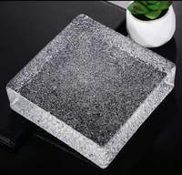 Briques de verre massif de 50 mm d'épaisseur, style moderne, pour cloisons de salle de bain et de cuisine, fournies par la meilleure usine du Guangdong