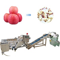Geavanceerde fruitverwerkingslijn voor pruimen, tomaten, meloenen, mango's, ananas, appels: wassen, ventilatie-droging, sorteermachines