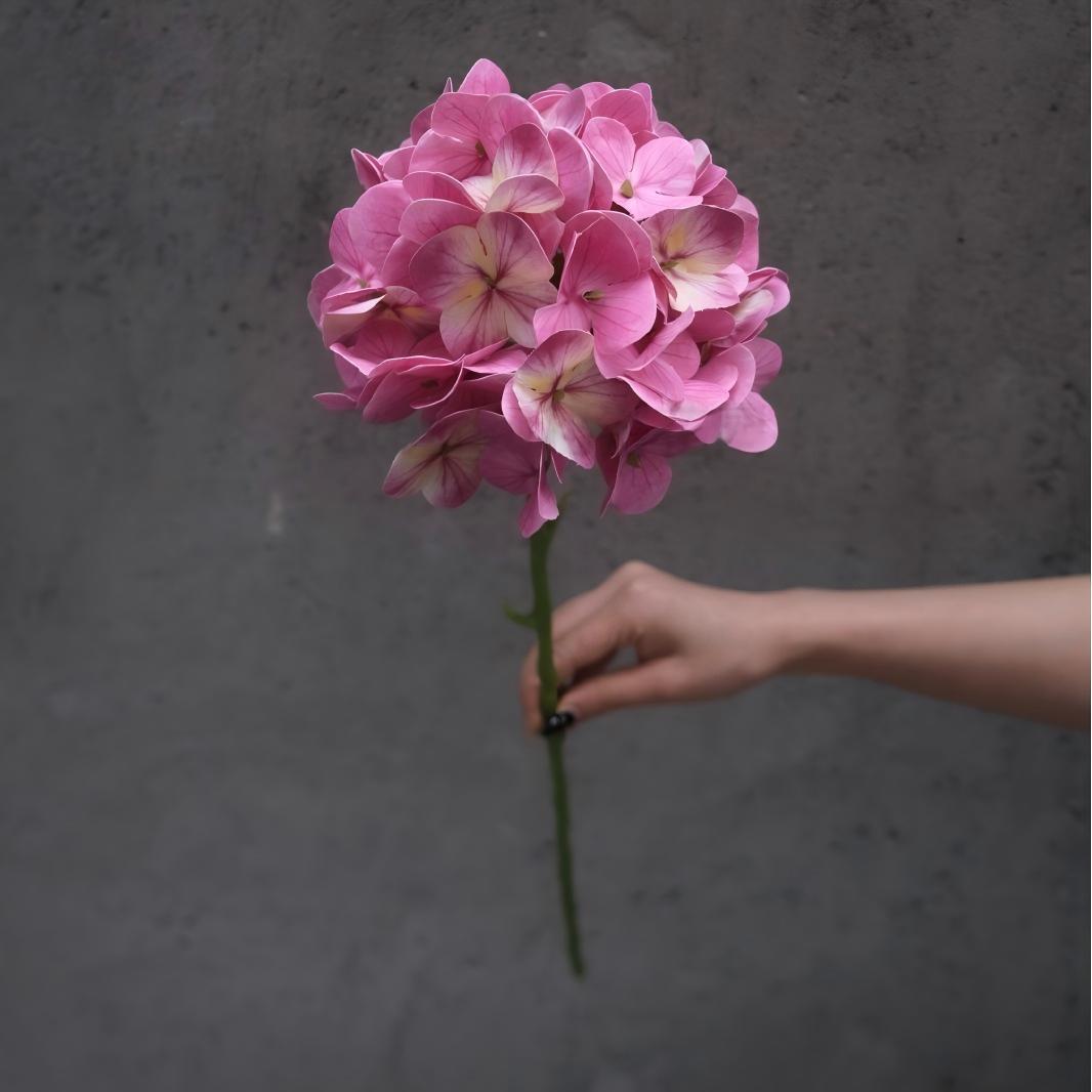 #4 Ortensie 3D - Rosa e Giallo (Senza Foglie)