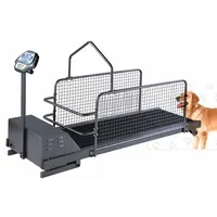 Wt-C402W Dog Training Equipment Pet Walking Machine Dog Treadmill