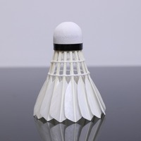 Volants de badminton professionnels de niveau tournoi, durables, hybrides, 12 pièces, en plumes de canard de classe A, avec base en liège sandwich à 2 couches, écologiques