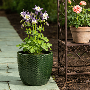 ชุดกระถางดอกไม้เซรามิกเคลือบสีเขียวป่าลายเชฟรอนแบบนูน  รักษาสิ่งแวดล้อม ใช้ได้ทั้งภายในและภายนอกอาคาร มีรูระบายน้ำ เหมาะสำหรับใช้ในบ้าน - Product Image 1