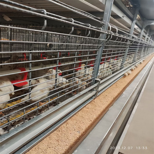 Nuova Gabbia Automatica per Pulcini QM YC-19 Tipo H, per Allevamento di Pulcini di un Giorno, Quaglie e Uccelli, Capacità 90-200, Garanzia 1 Anno - Product Image 4