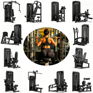 Máquinas de Selección de Carga por Pin de Última Generación, Diseño Novedoso, Equipo Profesional de Fuerza para Gimnasio WD-F2000: Tu Equipo de Fitness Confiable - Product Image 1