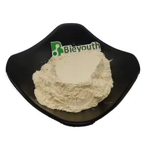 Microbial Rennet Powder