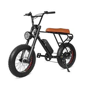 Nieuw Ontwerp Oem Logo Lithium Fat Tire 48V 500W E-Bikes Elektrische Fiets Voor Volwassenen