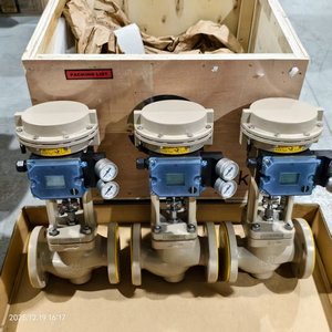 Válvulas de Globo SAMSON 3241, Actuadores Neumáticos 3271, Posicionador 3725 3730-3, Válvula de Control de Servicio Criogénico de Estrangulación de Baja Presión - Product Image 6